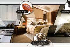 bugs-location_img0
